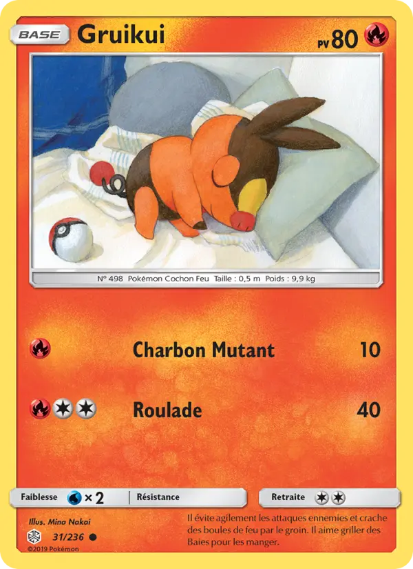 031/236 - Gruikui