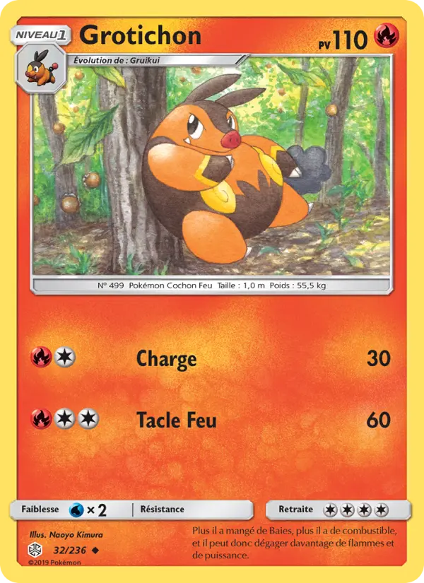 032/236 - Grotichon