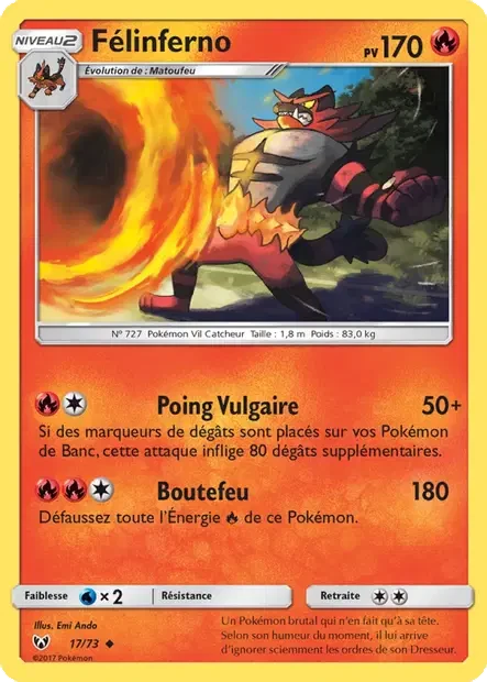 017/073 - Félinferno