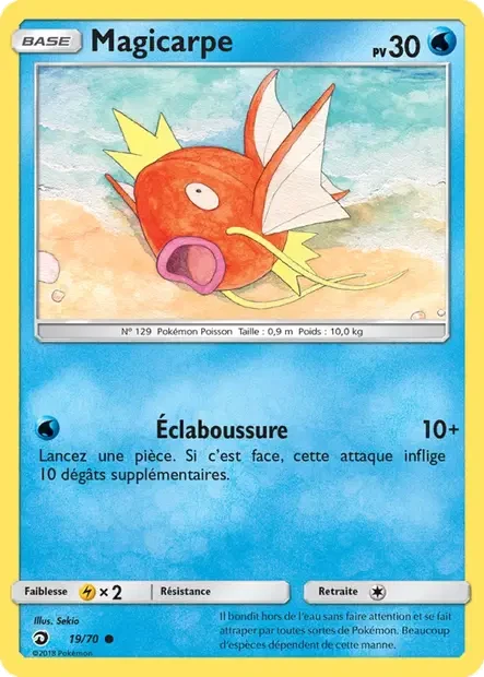 019/070 - Magicarpe