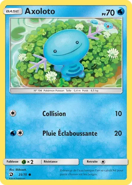 025/070 - Axoloto