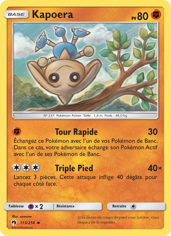 113/214 - Kapoera
