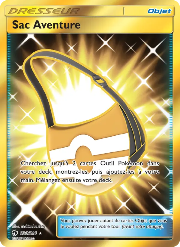 228/214 - Sac Aventure — Carte Pokémon Tonnerre Perdu 228/214