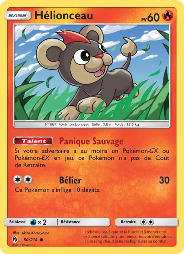 050/214 - Hélionceau