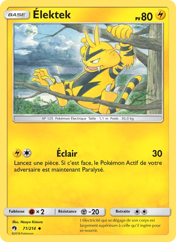071/214 - Élektek — Carte Pokémon Tonnerre Perdu 71/214