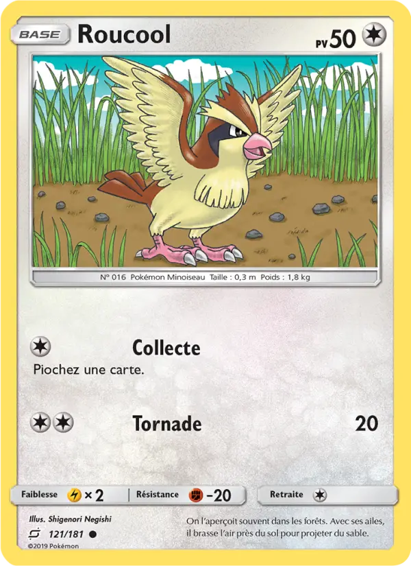 121/181 - Roucool — Carte Pokémon Duo de Choc 121/181