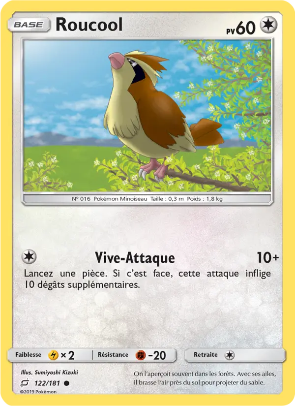 Roucool — Carte Pokémon 122 Duo de Choc