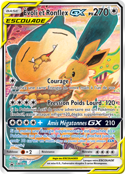 SM169/248 - Évoli et Ronflex GX