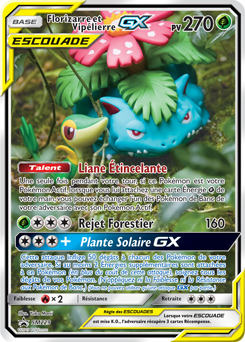 SM229/248 - Florizarre et Vipélierre GX