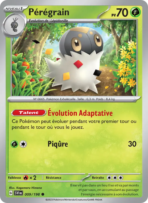 009/198 - Pérégrain