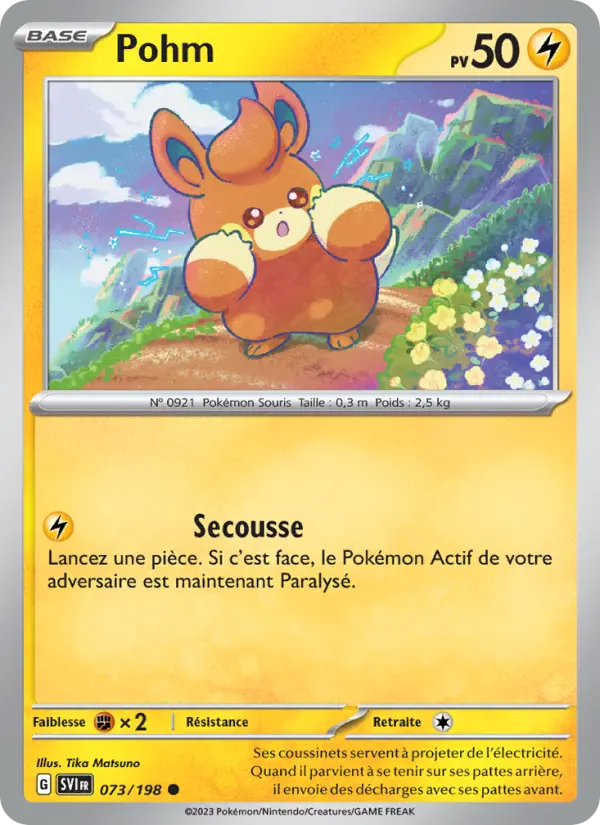 073/198 - Pohm