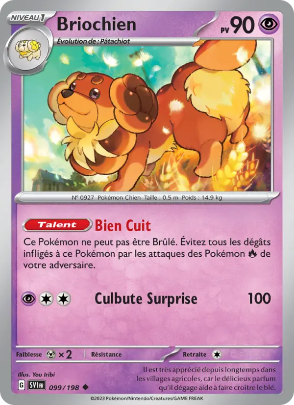 099/198 - Briochien
