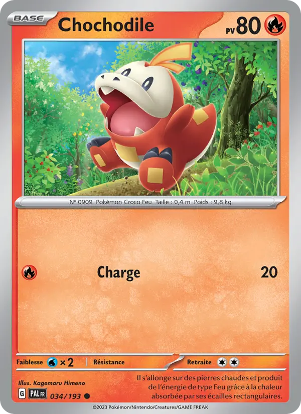 034/193 - Chochodile
