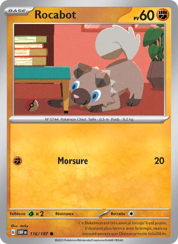 Rocabot — Carte Pokémon 116 Flammes Obsidiennes