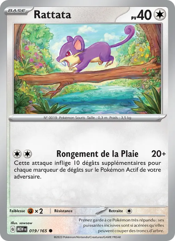 019/165 - Rattata