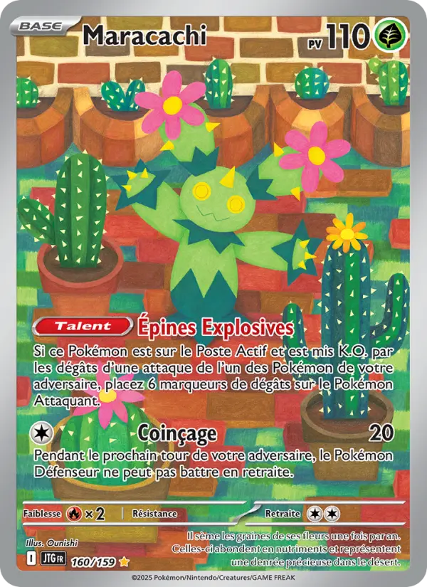 160/159 - Maracachi