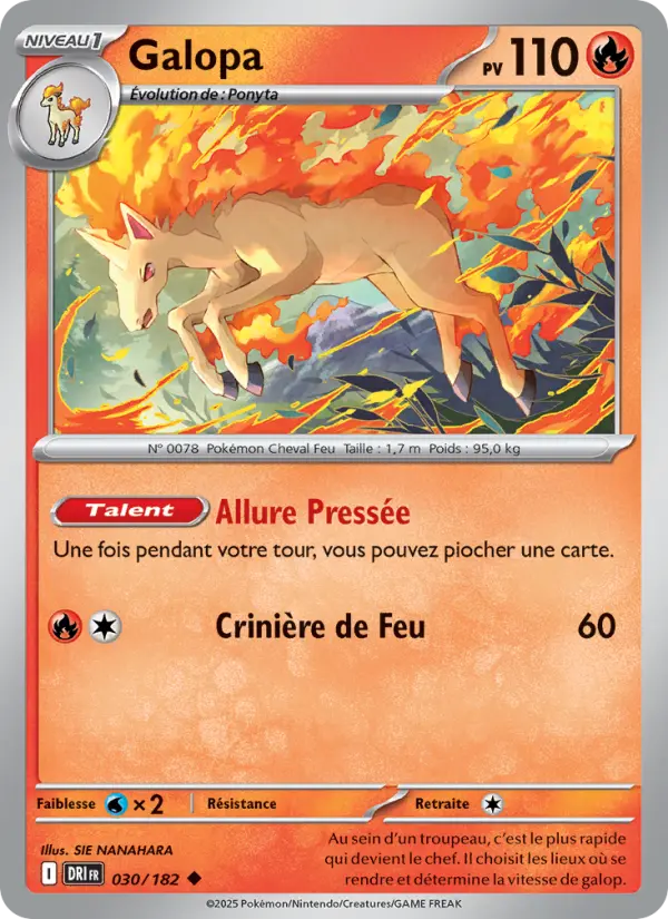 030/182 - Galopa