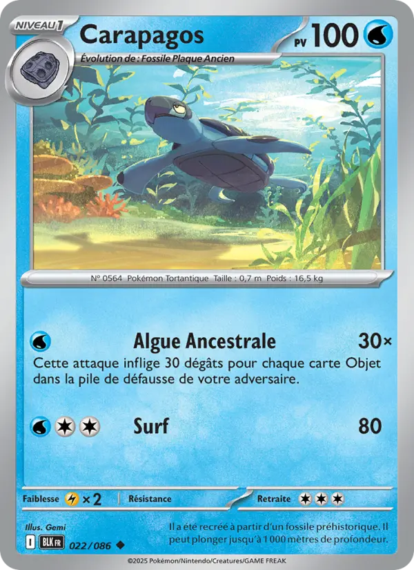 022/086 - Carapagos
