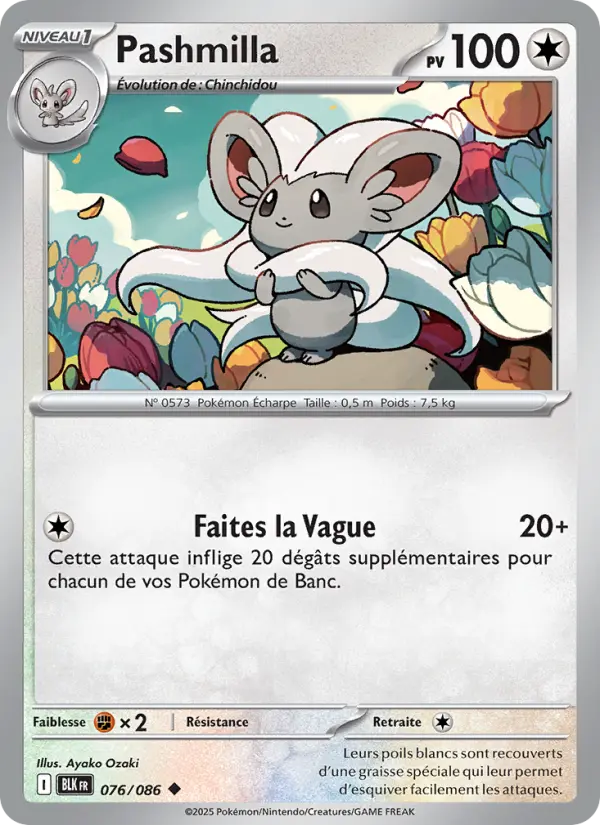 076/086 - Pashmilla