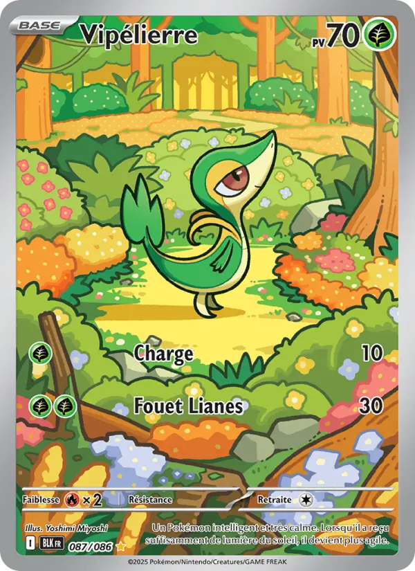 087/086 - Vipélierre