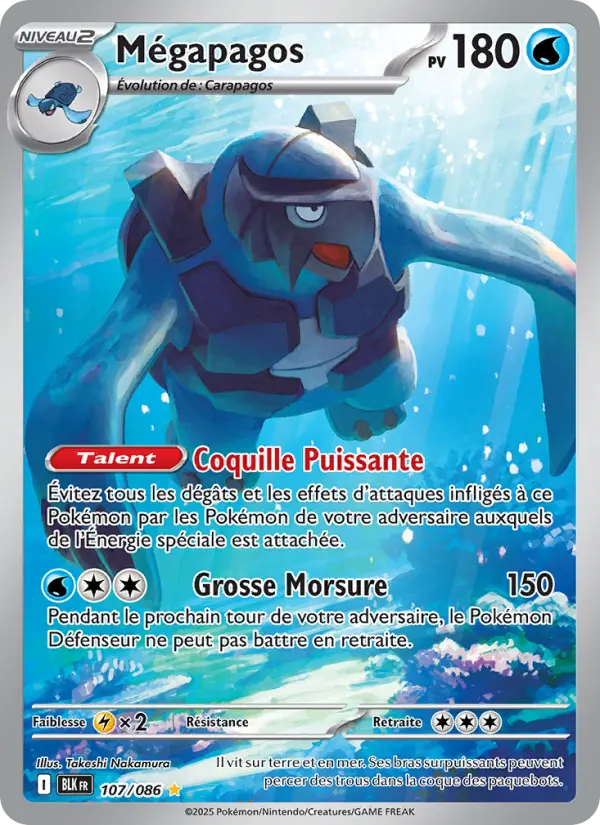 107/086 - Mégapagos
