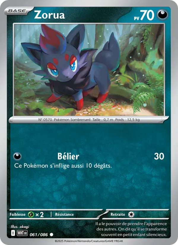 061/086 - Zorua