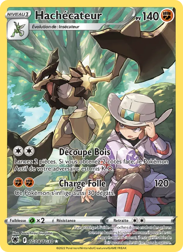 Hachécateur — Carte Pokémon TG08 Astres Radieux