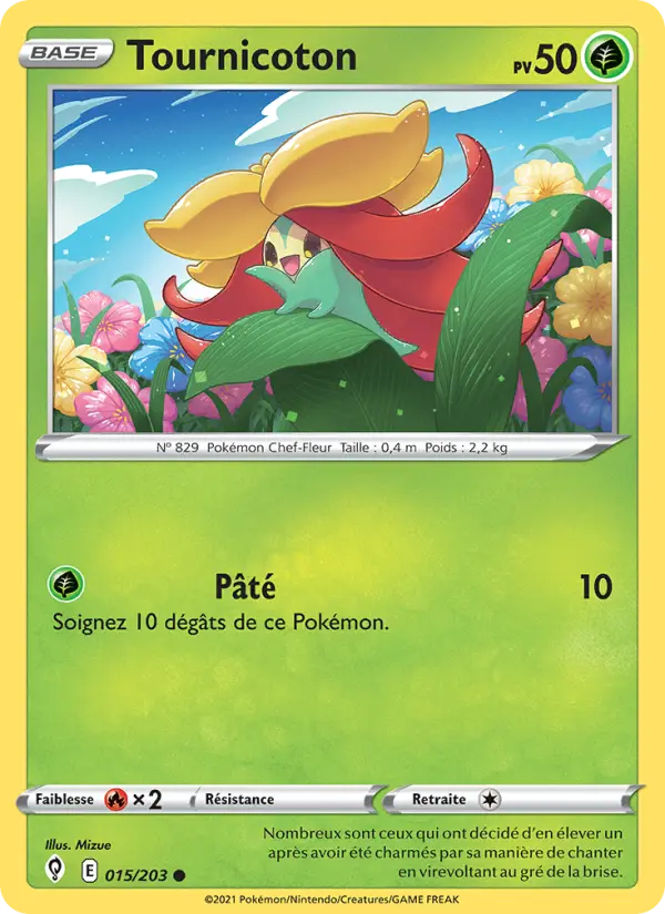 015/203 - Tournicoton