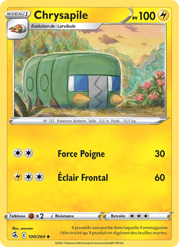 100/264 - Chrysapile