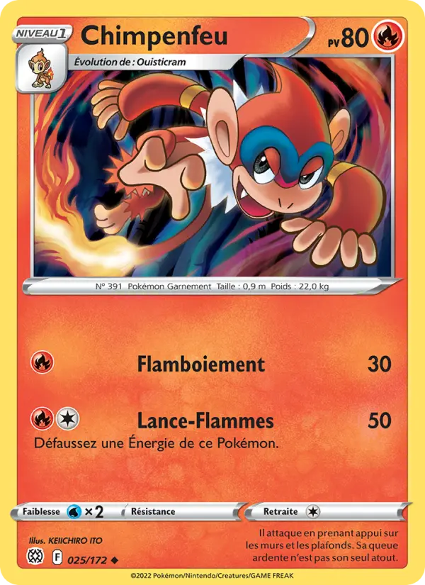 025/172 - Chimpenfeu