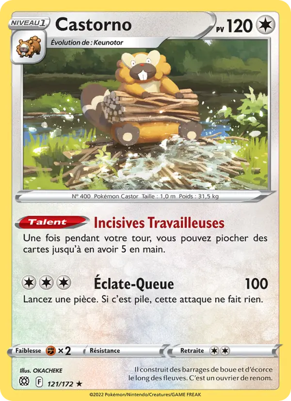 121/172 - Castorno