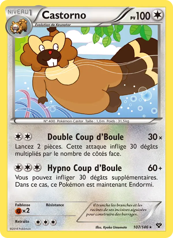 Castorno — Carte Pokémon 107 XY