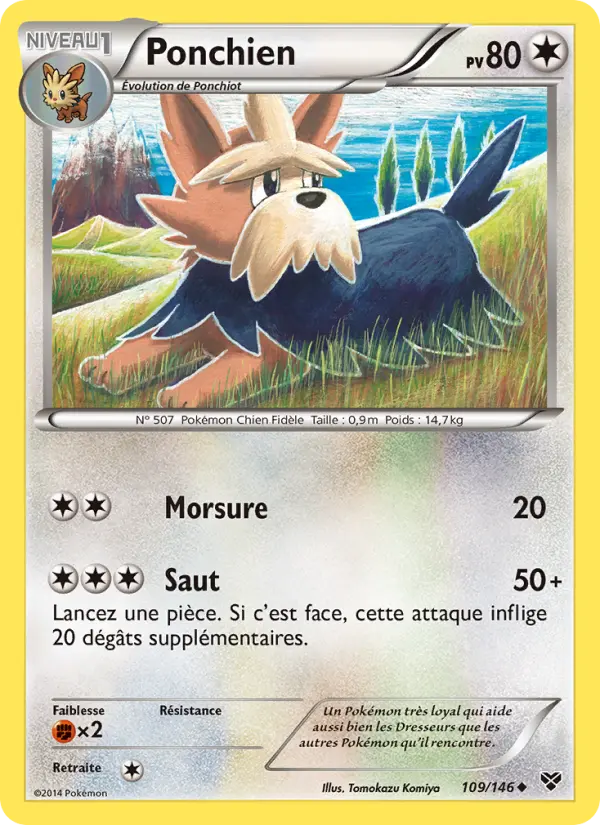 Ponchien — Carte Pokémon 109 XY