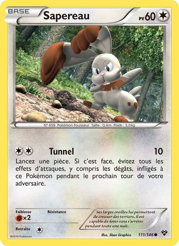 111/146 - Sapereau