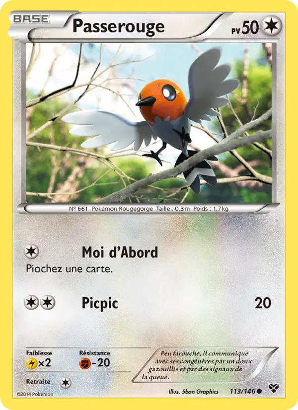 Passerouge — Carte Pokémon 113 XY