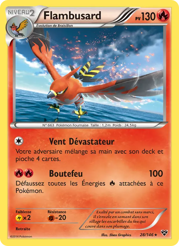028/146 - Flambusard
