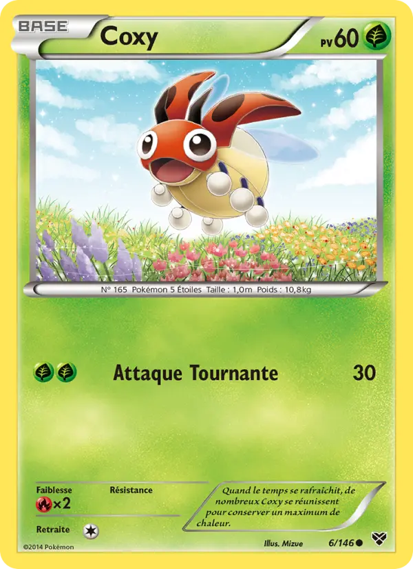 Coxy — Carte Pokémon 6 XY