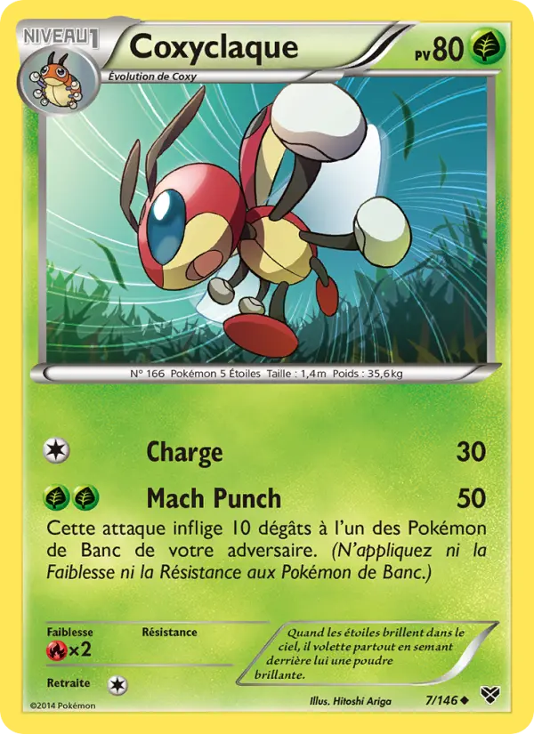 007/146 - Coxyclaque