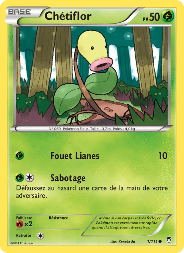 001/111 - Chétiflor