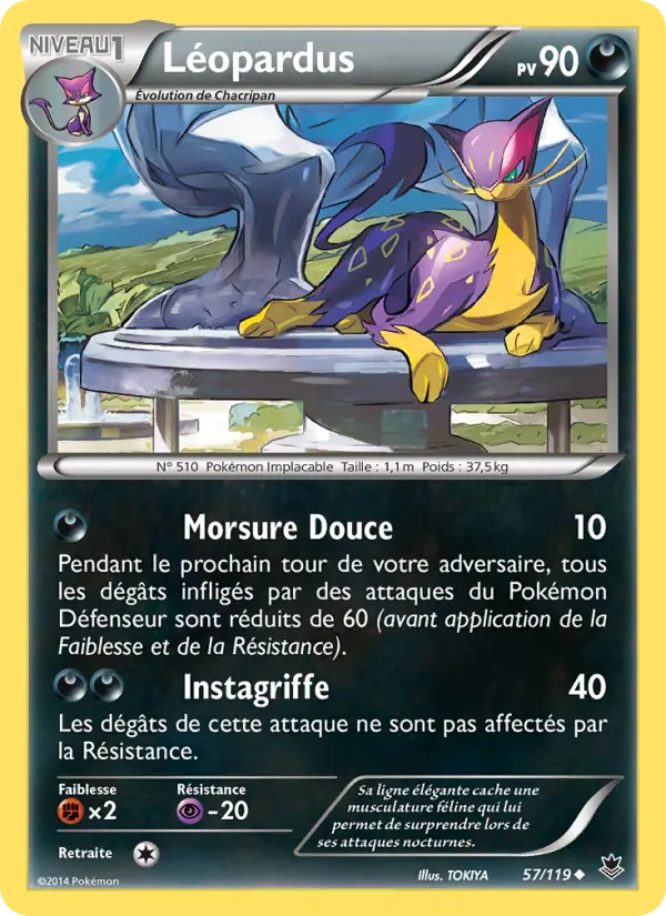 057/119 - Léopardus