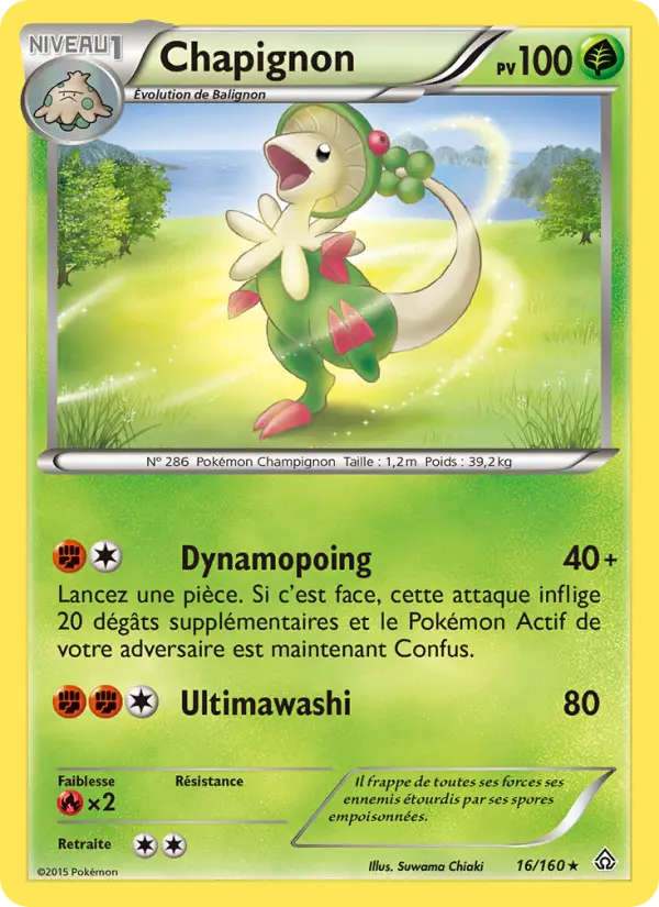 016/160 - Chapignon
