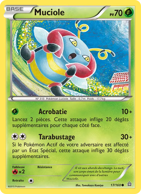 017/160 - Muciole