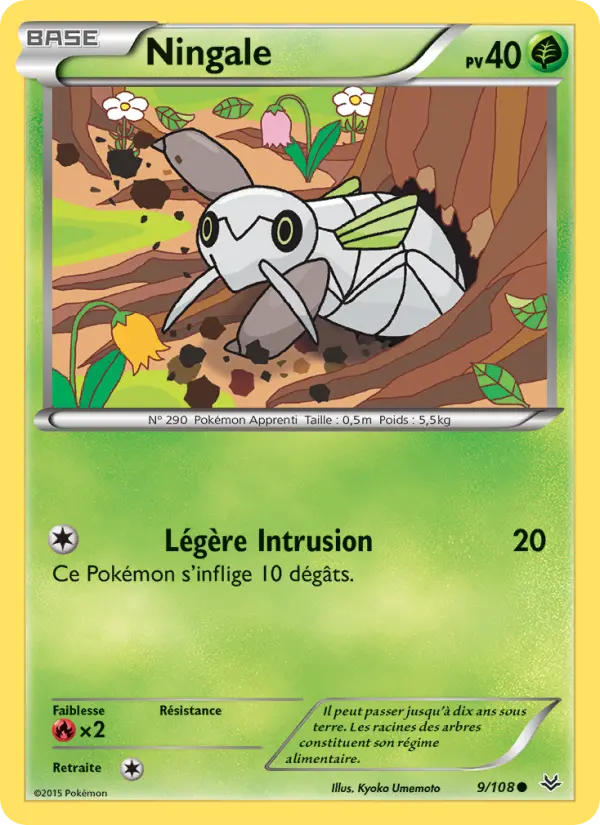 009/108 - Ningale