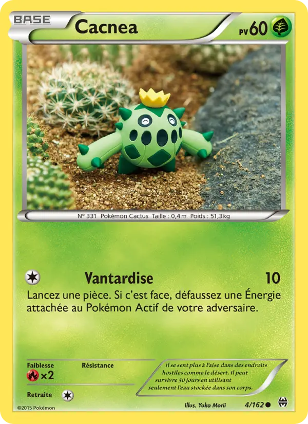 004/162 - Cacnea