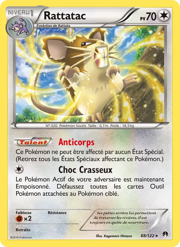 088/122 - Rattatac