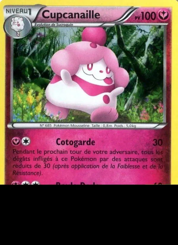 XY015 - Cupcanaille