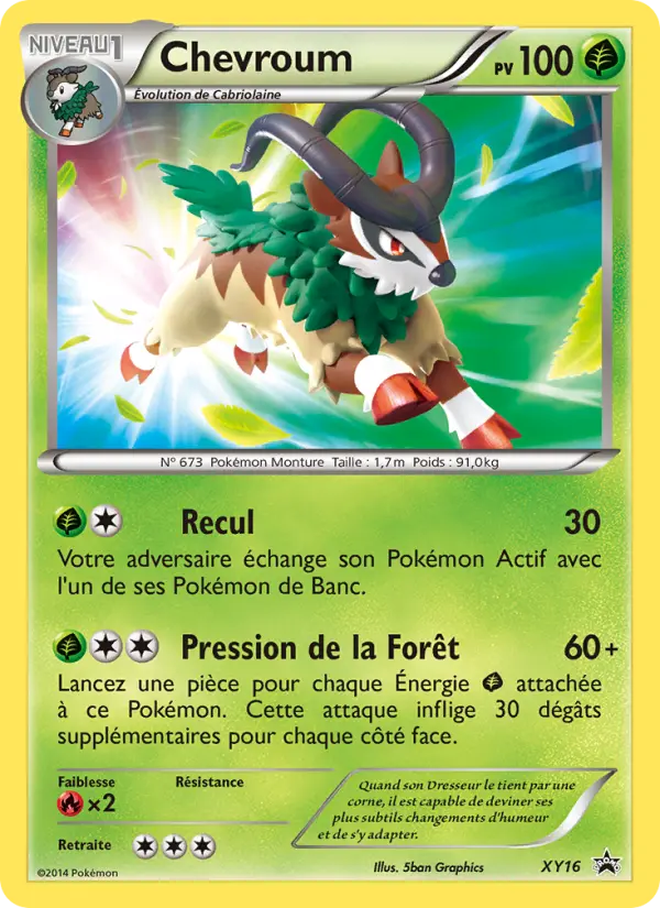 Chevroum — Carte Pokémon XY16 Promo XY