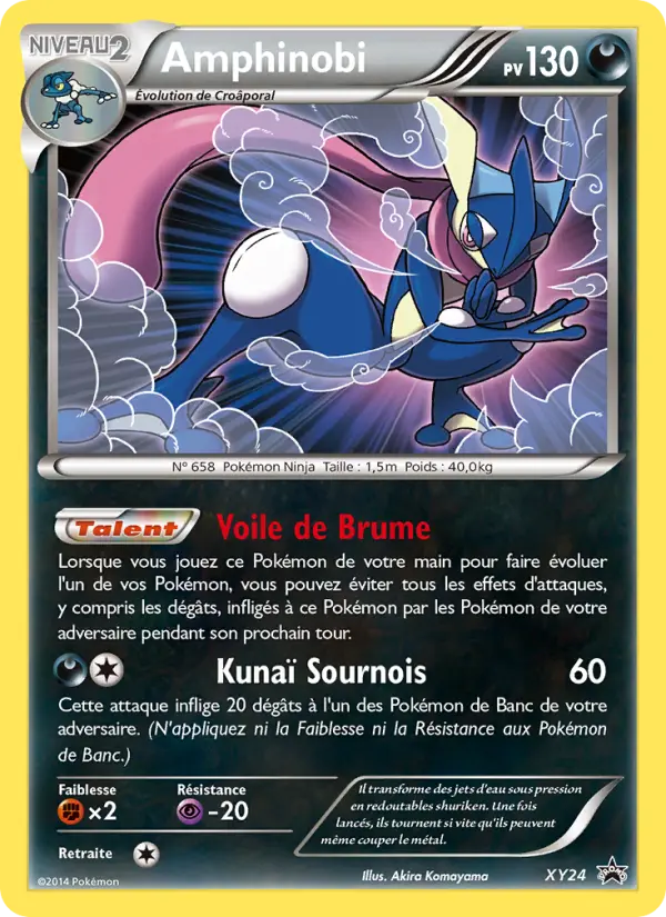 Amphinobi — Carte Pokémon XY24 Promo XY