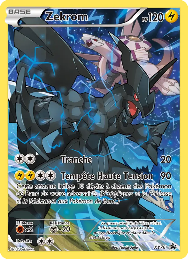 XY076 - Zekrom