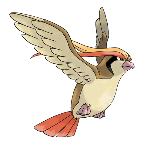 pokedex-roucarnage